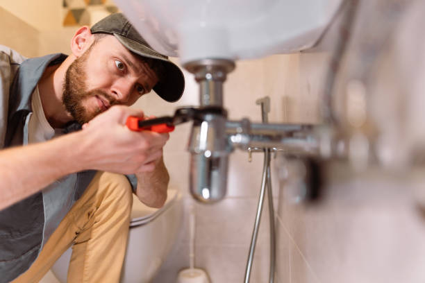 Best Clogged Drain Plumber  in Mcelhattan, PA