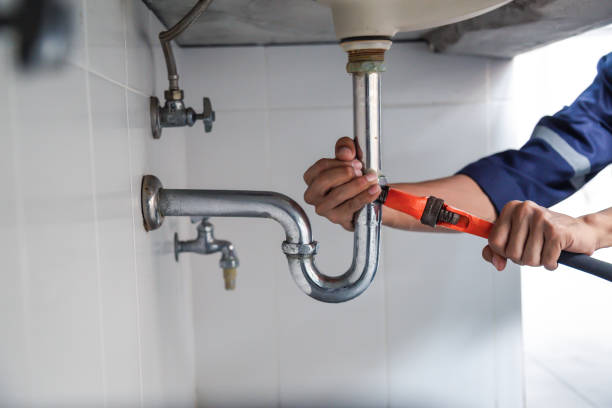 Best Clogged Drain Plumber  in Mcelhattan, PA